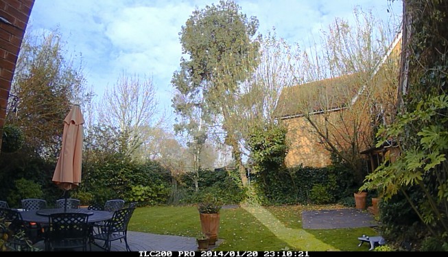 Removal of trees