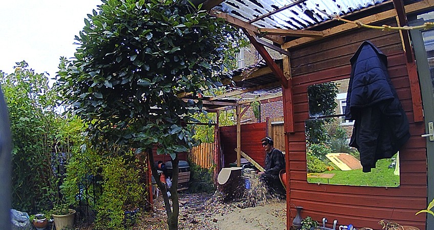 Stump grinding