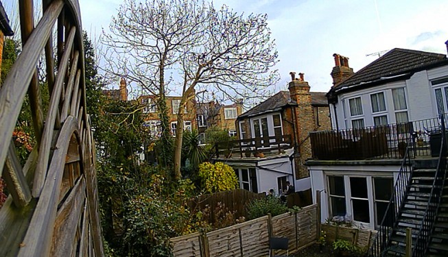 Tree removal