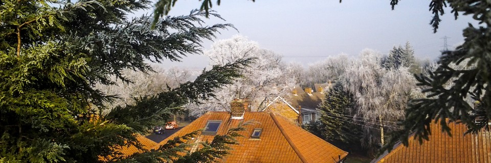  All aspects of tree surgery undertaken