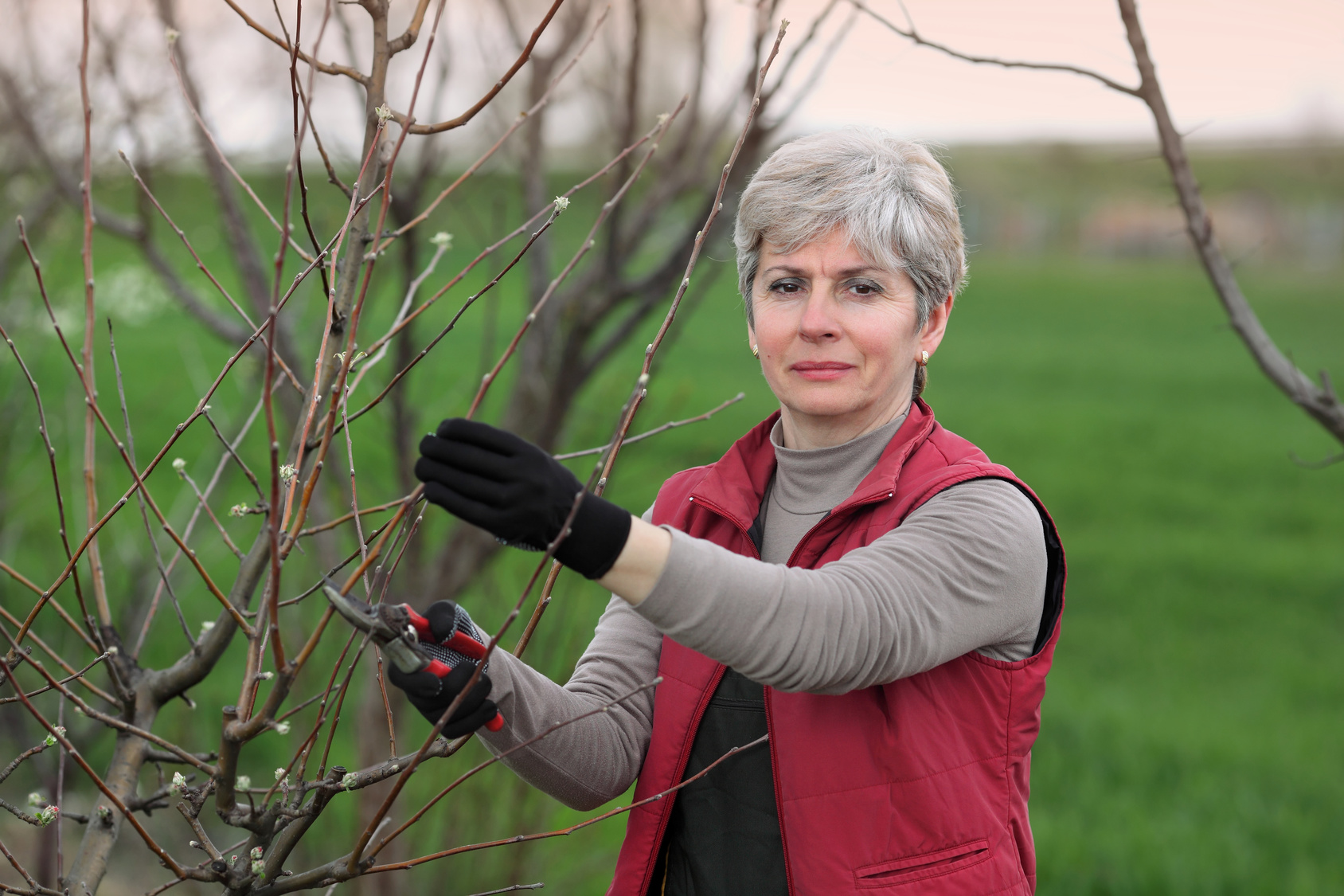 Tree Pruning