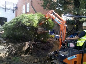 Removing the tree with a digger